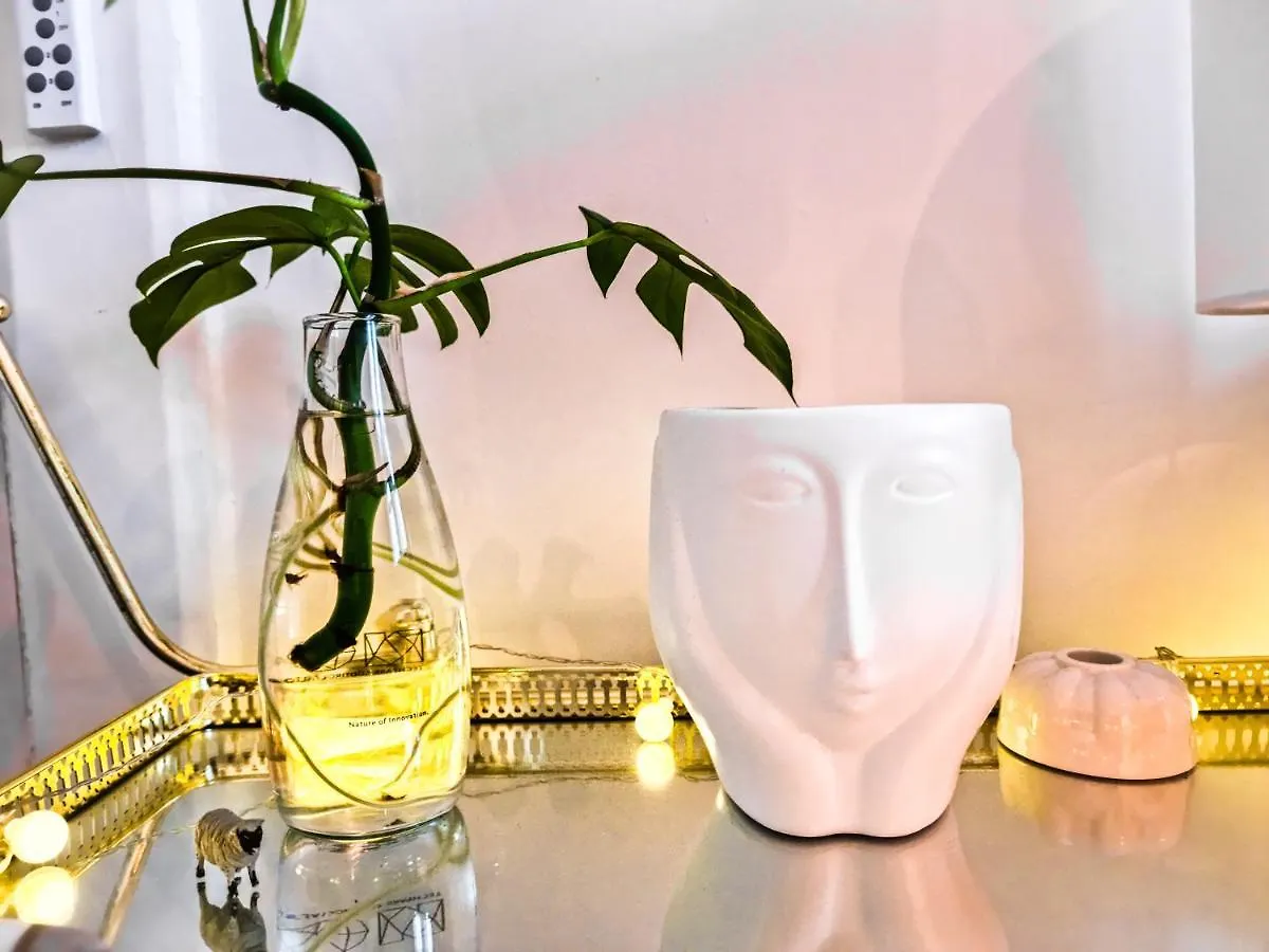 Whole Stylish Apartment 1880S Guinness Worker House Dublin Homestay