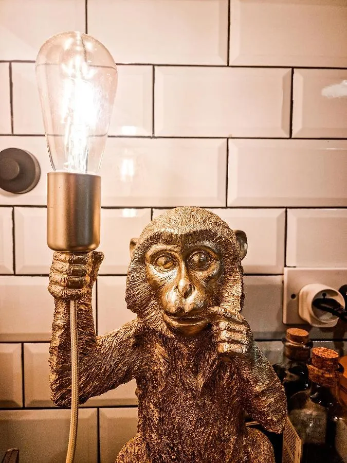 Homestay Whole Stylish Apartment 1880S Guinness Worker House Dublin