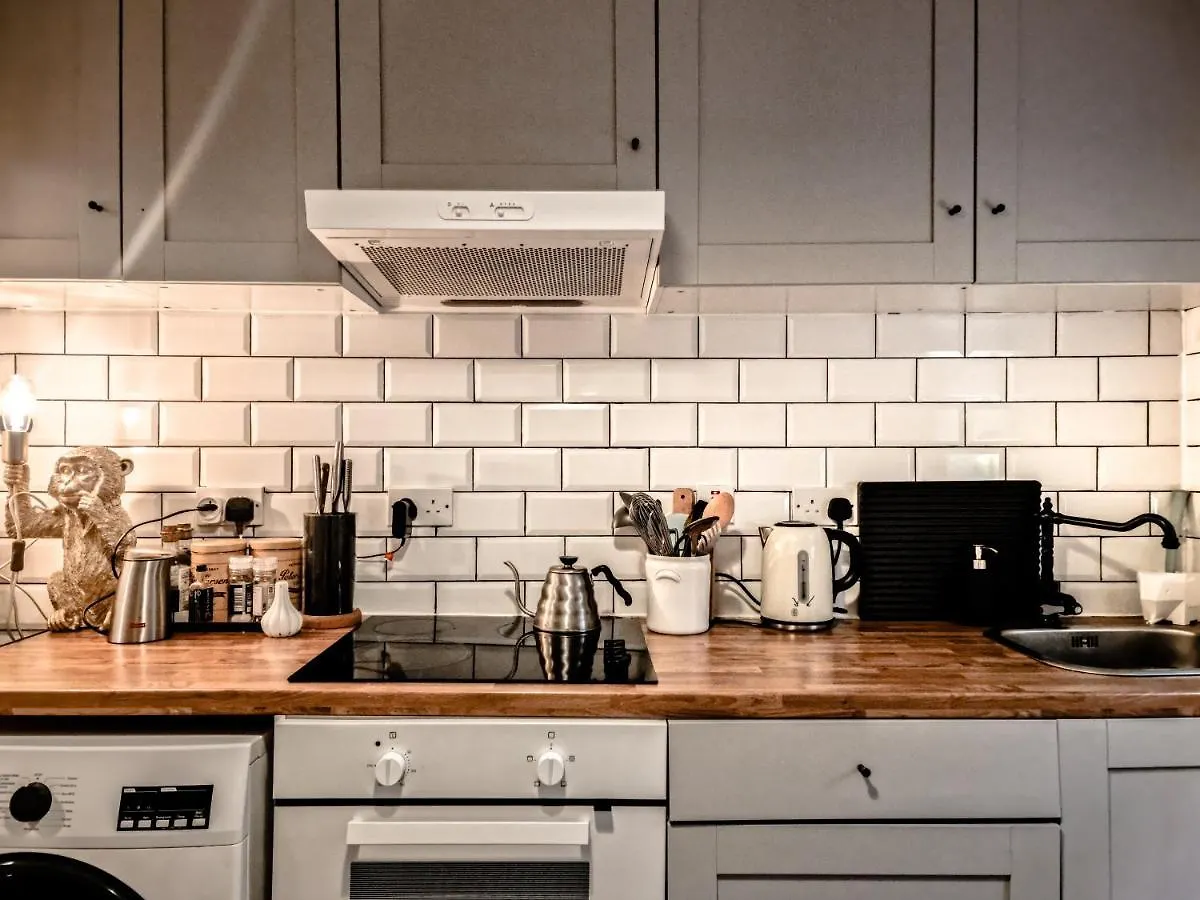 Whole Stylish Apartment 1880S Guinness Worker House Dublin