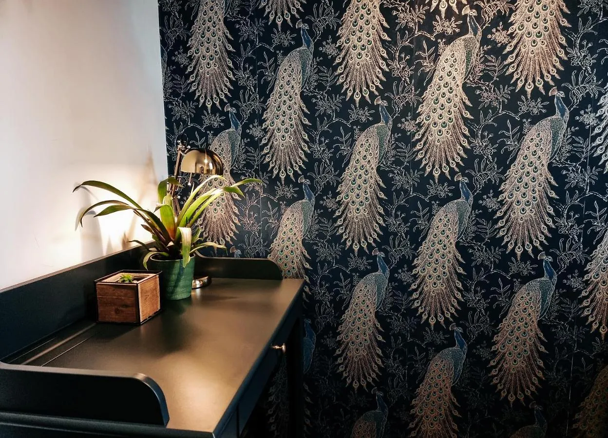 Homestay Whole Stylish Apartment 1880S Guinness Worker House Dublin Ireland