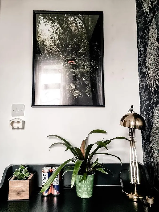 Whole Stylish Apartment 1880S Guinness Worker House Dublin
